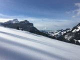 IMG_7535