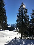 IMG_7648