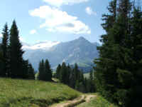 4. Tag Sch�nried - Gsteig