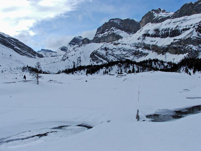 DSCF1848b.jpg - Spittelmatte, im Hintergrund das Felsenhorn