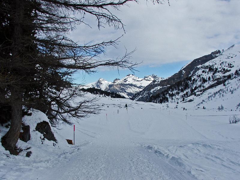 DSCF1850b.jpg - Blick �ber Spittelmatte, nordostw�rts zur�ck zum Sunnb�hl, im Hintergrund das D�ndenhorn