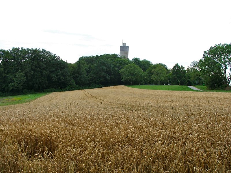 DSCF4415.jpg - Aussichtsturm Baldegg