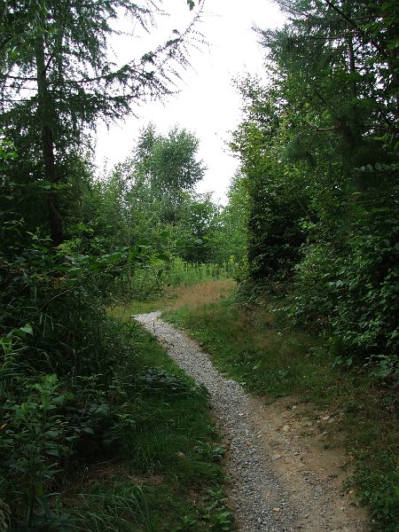 DSCF4419.jpg - Waldpfade