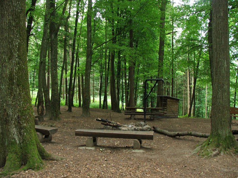 DSCF4430.jpg - Rastplatz am Gebenstorfer Horn