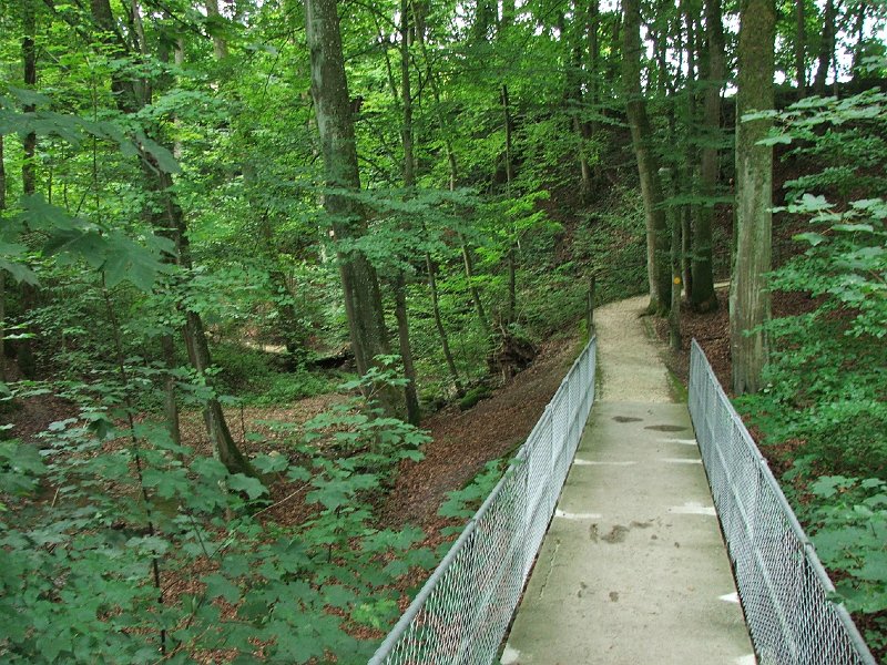 DSCF4442.jpg - Steg bei Gebenstorf