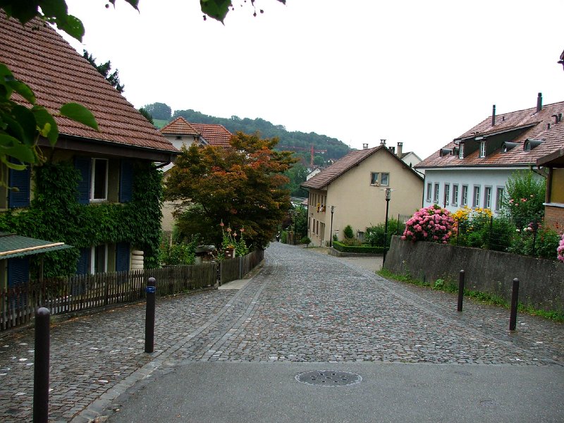 DSCF4455.jpg - Sch�ne G�rten