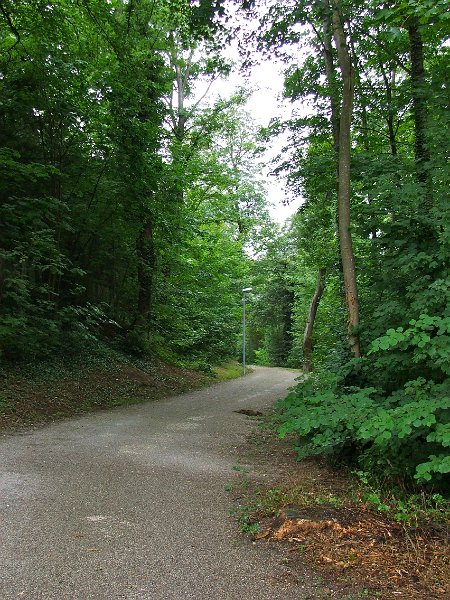 DSCF4459.jpg - Uferstrasse nach Brugg