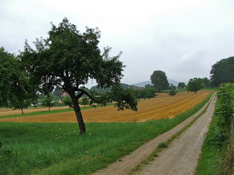 DSCF4483.jpg - Im Aufstieg zu den Vier Linden