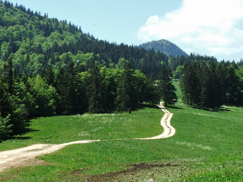 DSCF4026.jpg - Weg zur Hasenmatt
