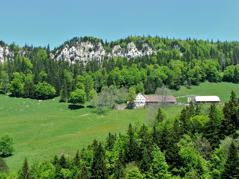 DSCF4027.jpg - Hinterer Weissenstein