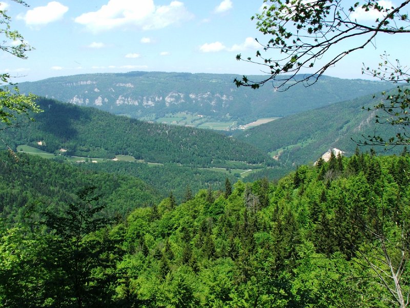 DSCF4031.jpg - Blick nach Norden durch den R�schgraben nach G�nsbrunnen