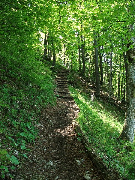 DSCF4034.jpg - Aufsteig an der Gitziflue