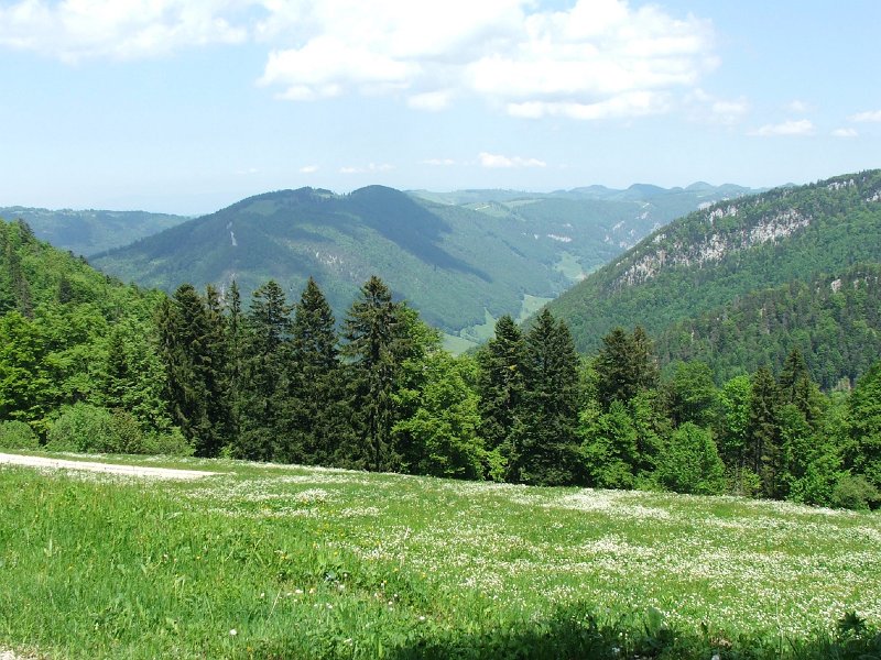 DSCF4036.jpg - Blick Richtung G�nsbrunnen und Welschenrohr