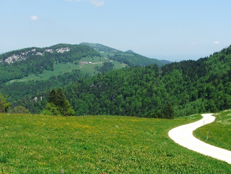 DSCF4039.jpg - Alth�sli: Blick zur�ck zum Weissenstein
