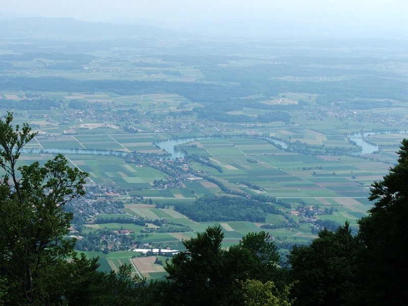 DSCF4051.jpg - Altreu