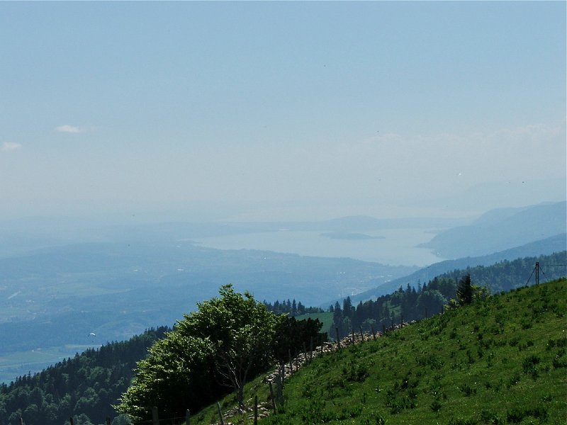 DSCF4061.jpg - Bielersee von der Stallflue aus