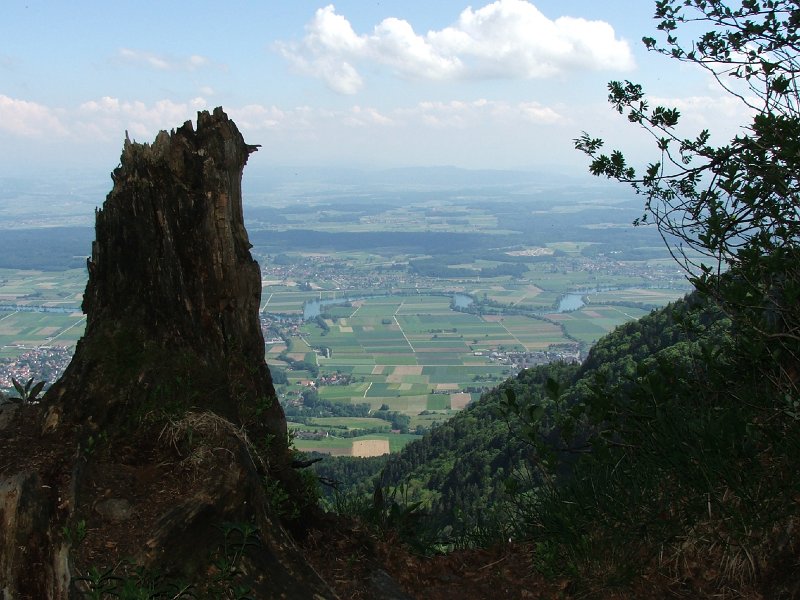 DSCF4077.jpg - Blick von der K�feregg nach S�den