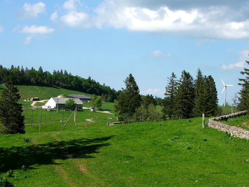 DSCF4100.jpg - Obergrenchenberg