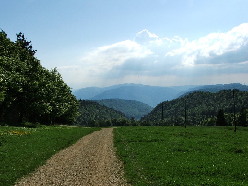 DSCF4105.jpg - Weg nach Unter Grenchenberg