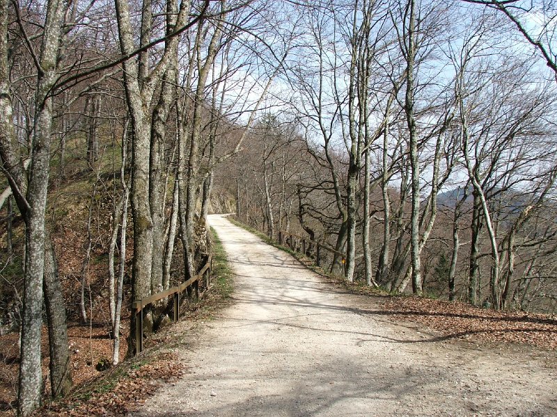 DSCF3855.jpg - Strasse zur Belchenflue