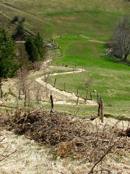 DSCF3867.jpg - Neu angelegter Treppenweg hinunter zur Gwidemh�chi