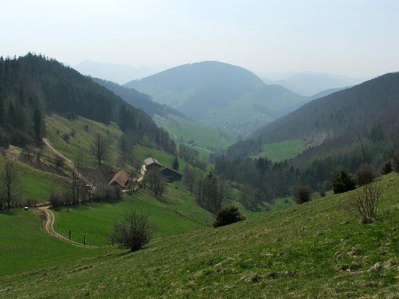DSCF3868.jpg - Gwidemhof und D�rsteltal, im Hintergrund Langenbruck