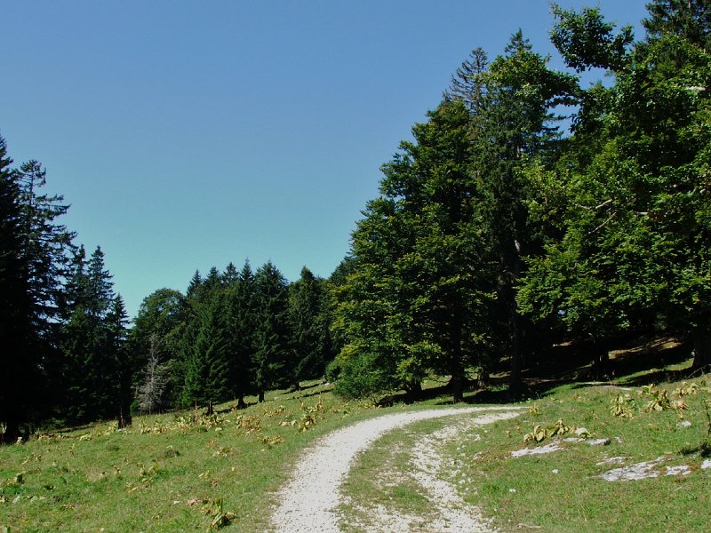 DSCF4644.jpg - Bei La Redalle