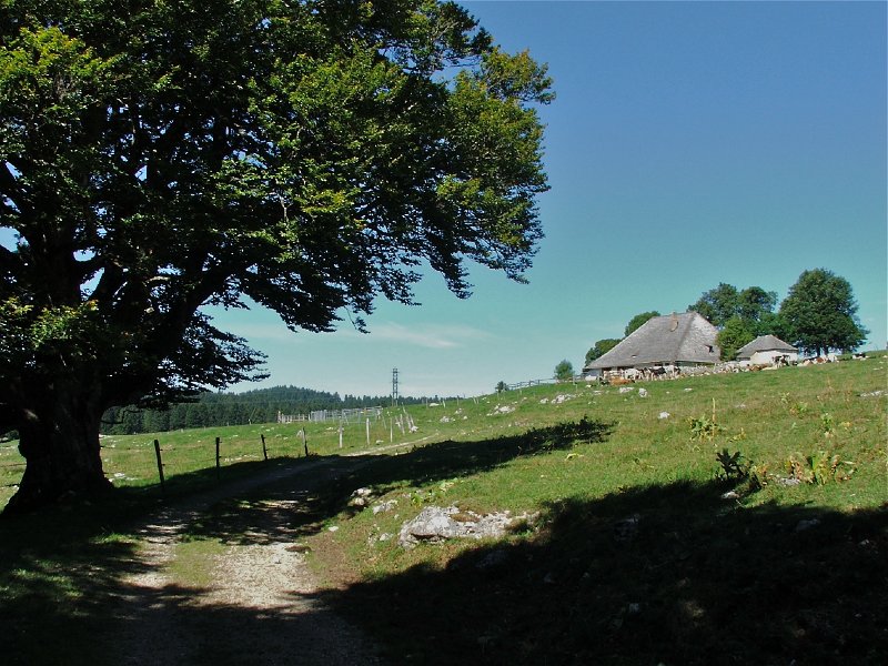 DSCF4645.jpg - La Redalle