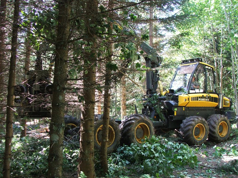 DSCF4647.jpg - Vollerntner in Aktion