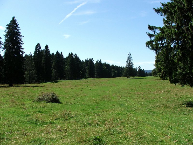 DSCF4648.jpg - Les Gillardes