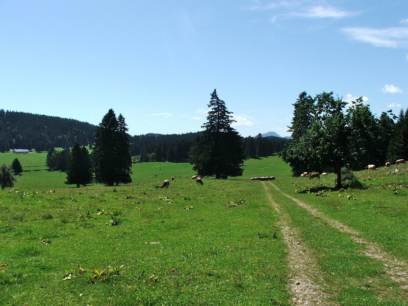 DSCF4651.jpg - Vor dem Hof  "La Calame"