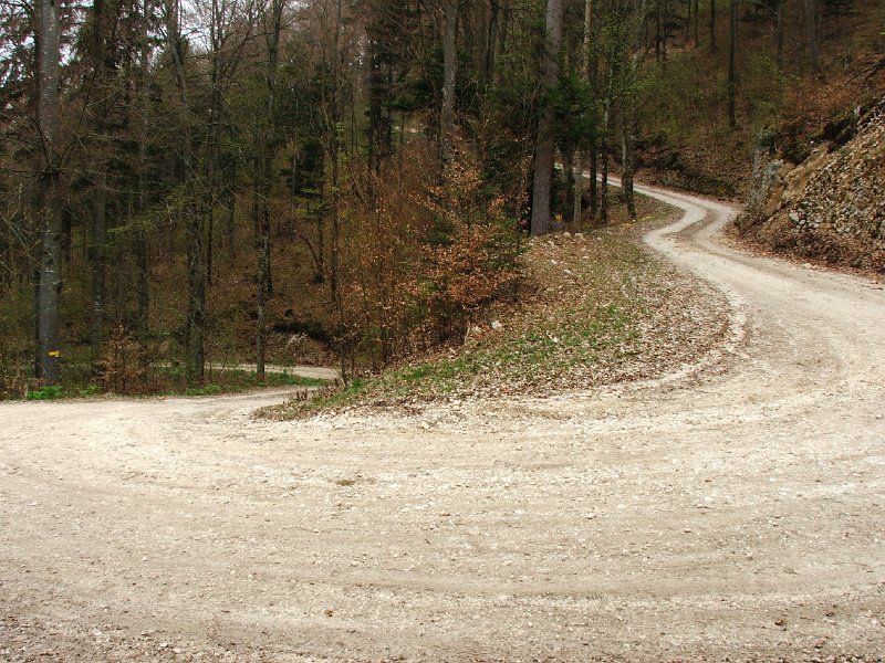 DSCF3908.jpg - Aufstieg auf der Waldstrasse