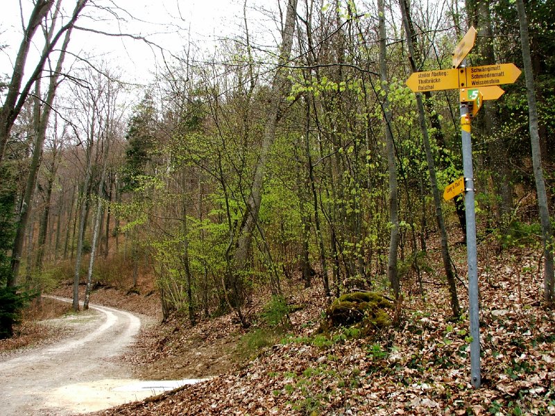 DSCF3909.jpg - Wir nehmen eine Kehre mehr in Kauf und gehen geradeaus bis zum Aussichtspunkt