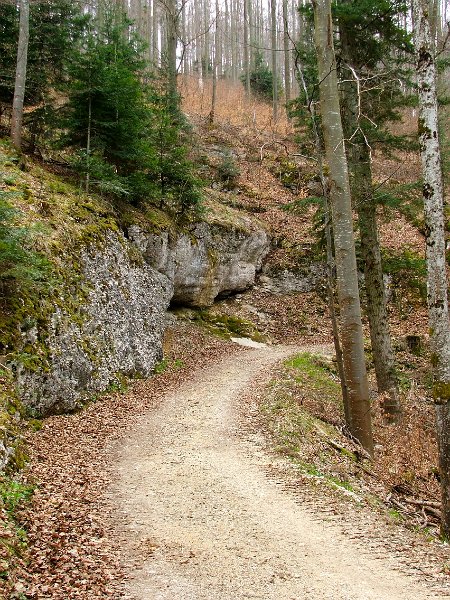 DSCF3914.jpg - Im Aufstieg zur Schwengimatt