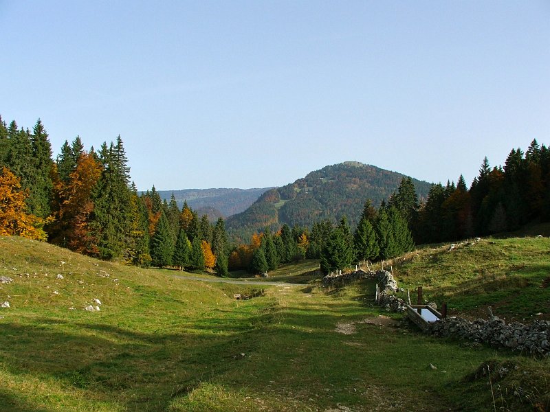 DSCF4815.jpg - Beim Chalet Neuf du Pont (1255m): Blick zur Dent de Vaulion