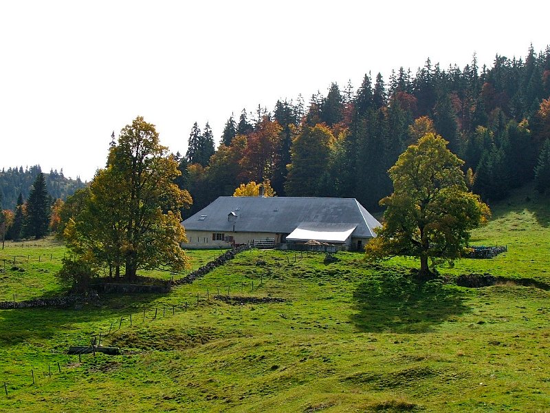 DSCF4816.jpg - Pr� de l'Haut Dessus