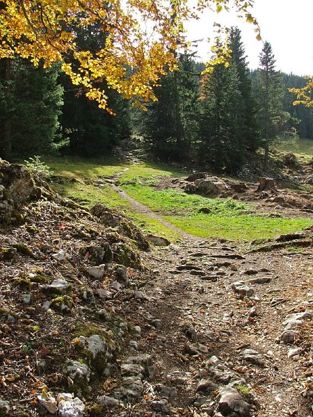 DSCF4818.jpg - Aufstieg zum Mont Tendre