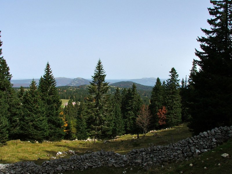 DSCF4819.jpg - Aufstieg zum Mont Tendre