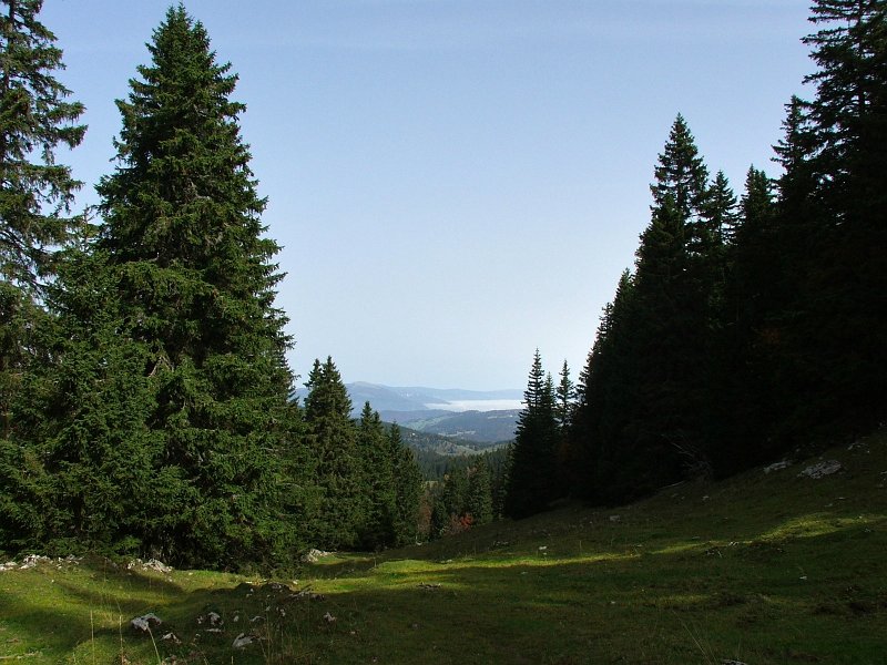 DSCF4820.jpg - Aufstieg zum Mont Tendre