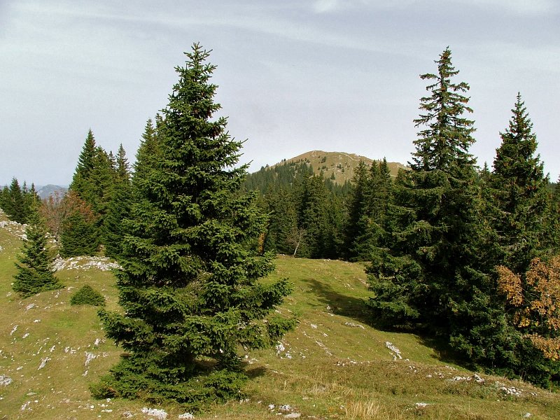 DSCF4828.jpg - Pierre � Coutiau (Blick zur�ck zum Mont Tendre)