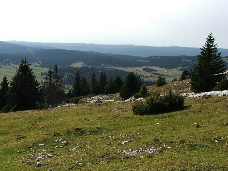 DSCF4830.jpg - Grand Cunay 1567 m - Blick auf die Weiden des Marchairuz