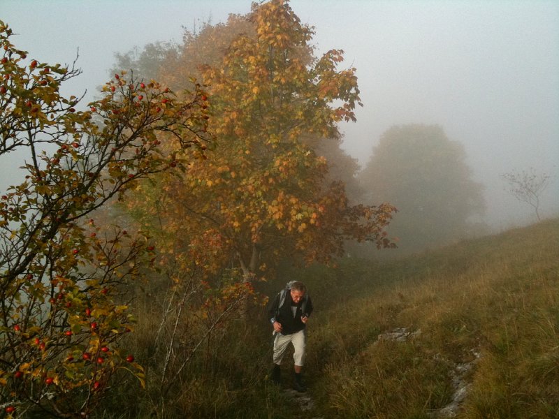 IMG_0030.jpg - Im Morgennebel