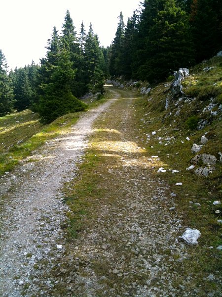 IMG_0058.jpg - Rampe zum Chalet du Mont Tendre