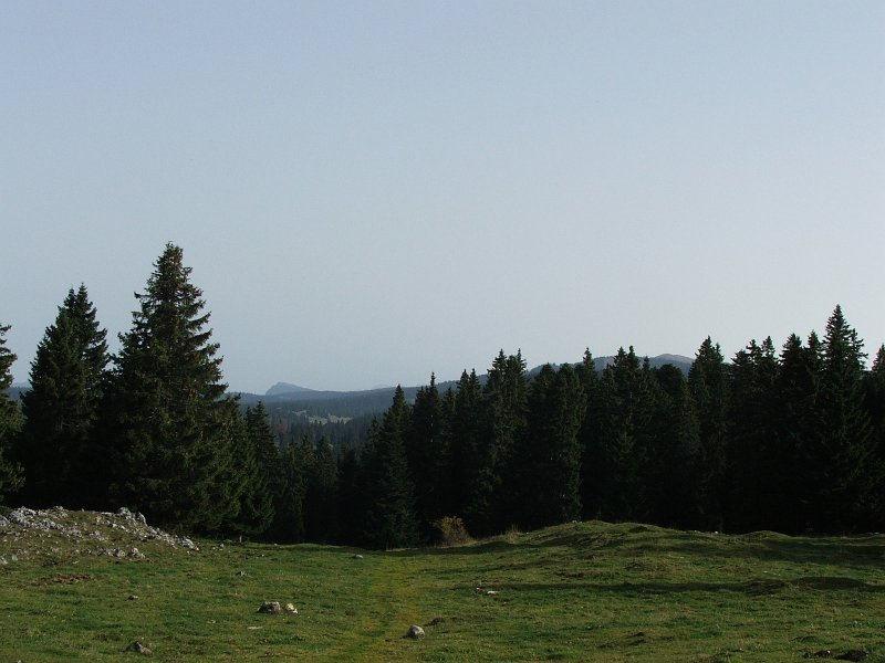DSCF4834.jpg - Blick von la Neuve (1444 m) zur�ck: Dent de Vaulion und Mont Tendre