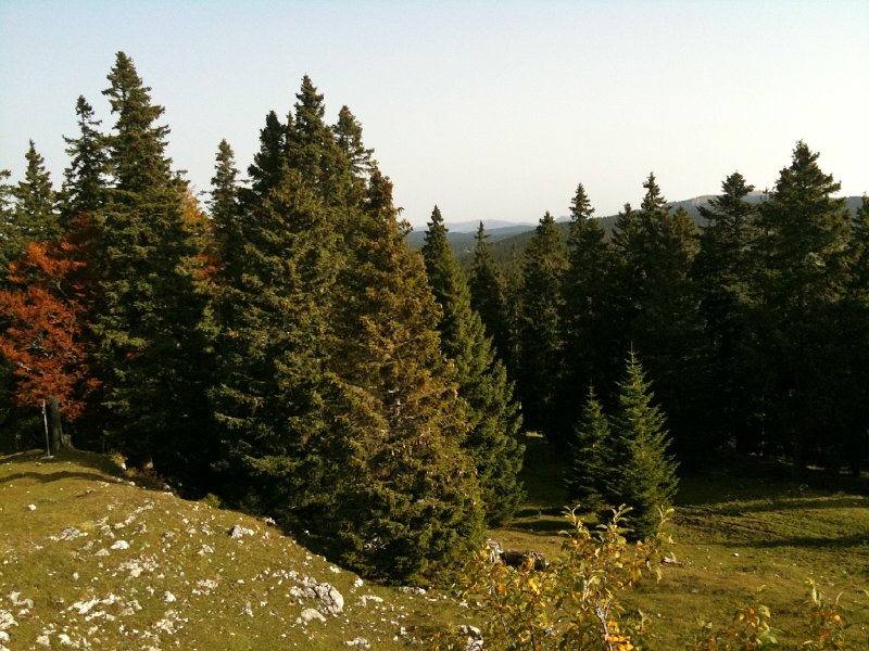 IMG_0079.jpg - Auf dem Cr�t de la Neuve (1494m)