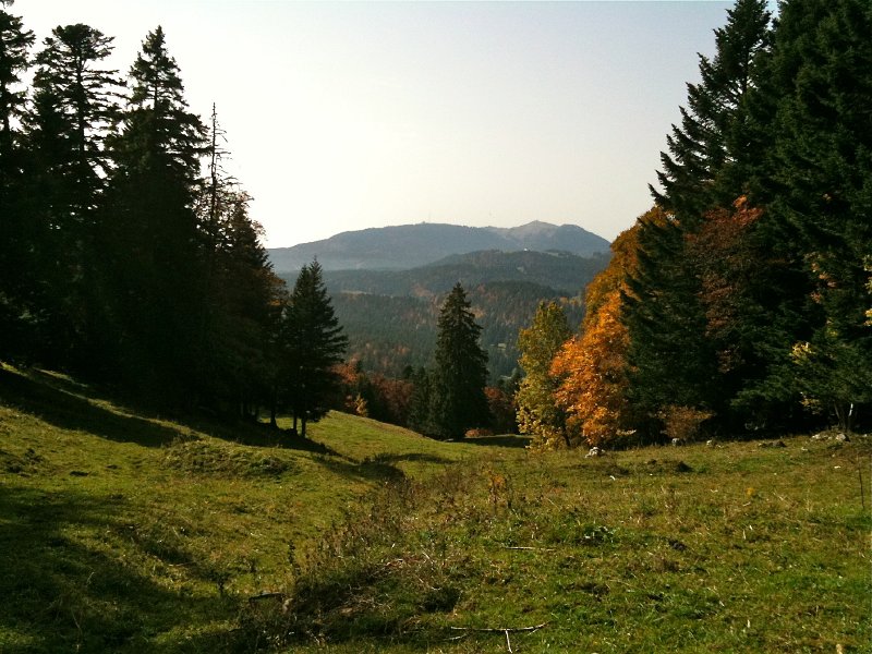 IMG_0094.jpg - Blick nach Saint-Cergue und zu La D�le