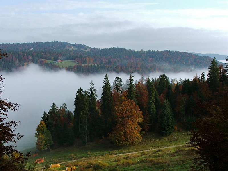 DSCF4843.jpg - Hinaus aus dem Nebel...