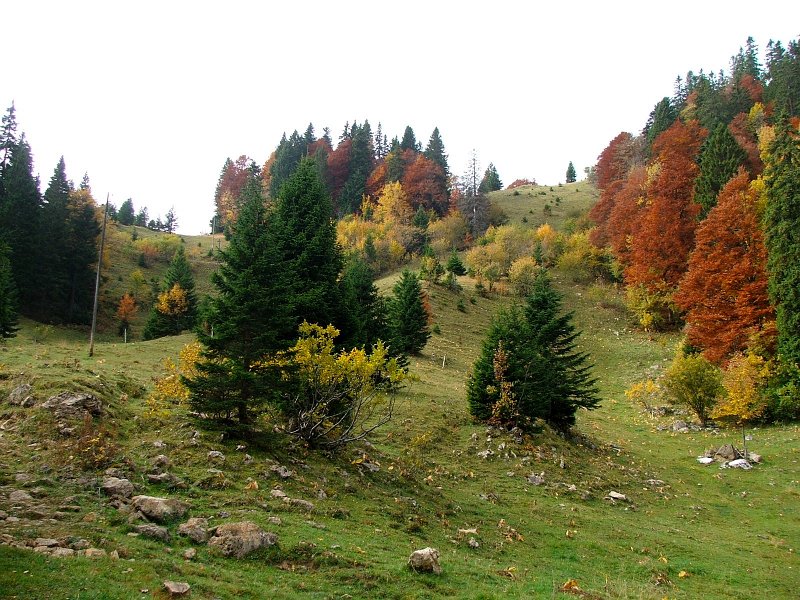 DSCF4845.jpg - Steilrampe Nr. 2
