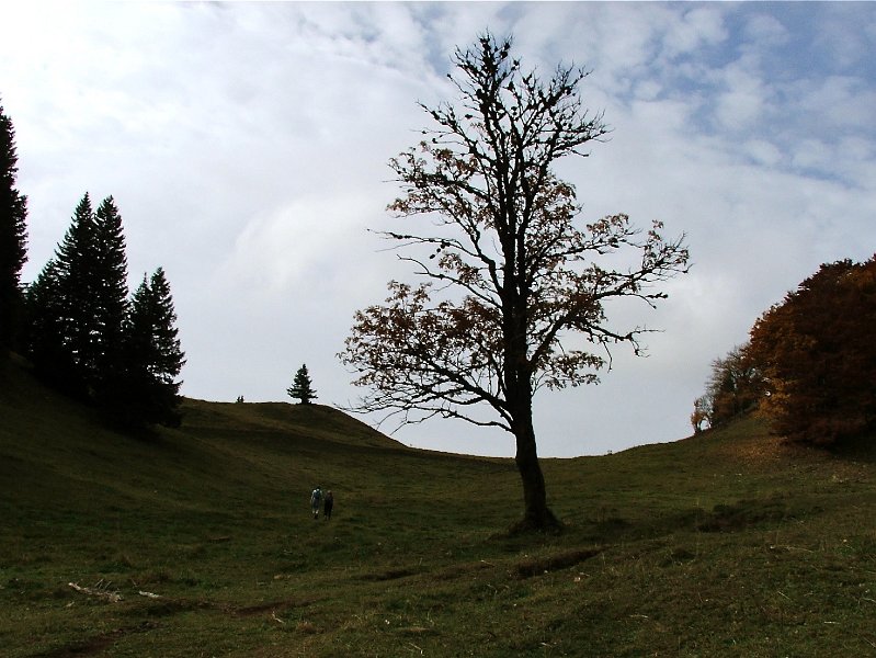 DSCF4846.jpg - Sattel auf 1460 m