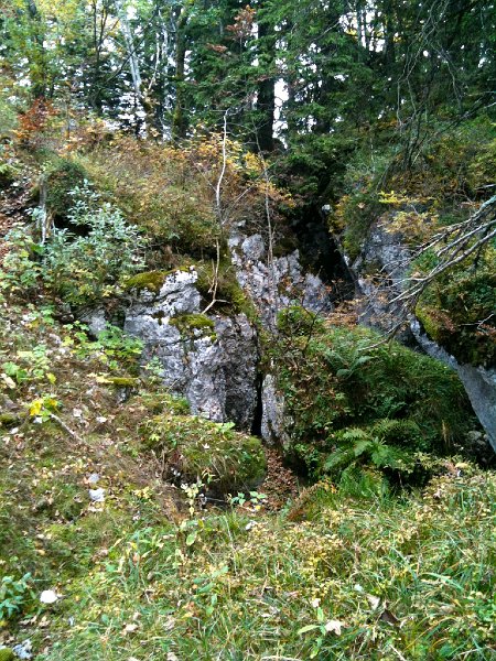 IMG_0137.jpg - Notre Dame des Neiges - eine "Felskathedrale" mitten im Wald